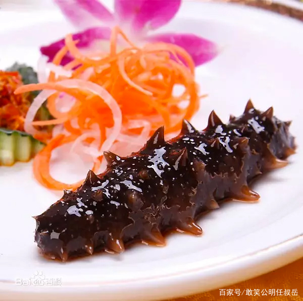 山东威海的特产海参,海参被称为什么之王