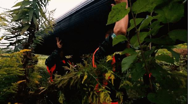 成为特种兵必须经过什么,想成为特种兵要学习哪些动作