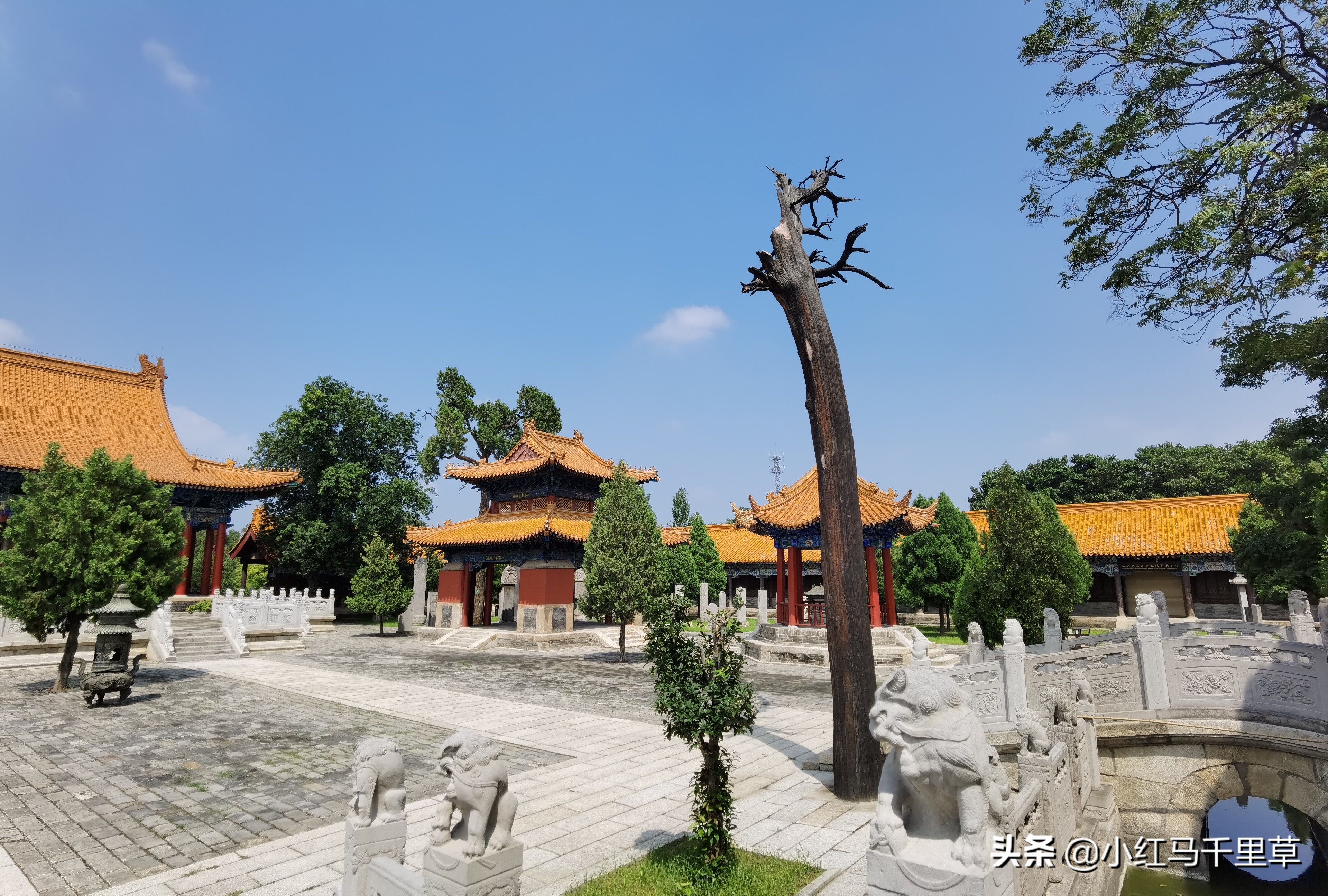 天下华山第一险西岳第一庙,华山西岳庙旅游攻略