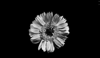 排便老是感觉排不干净喝什么药,排便总感觉擦不干净