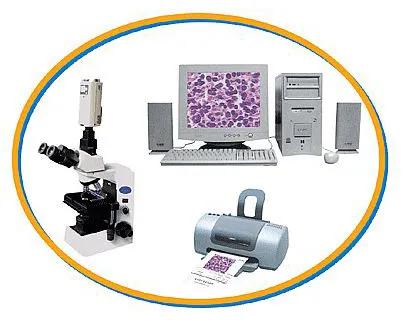 病理报告不会看？别怕，手把手教你