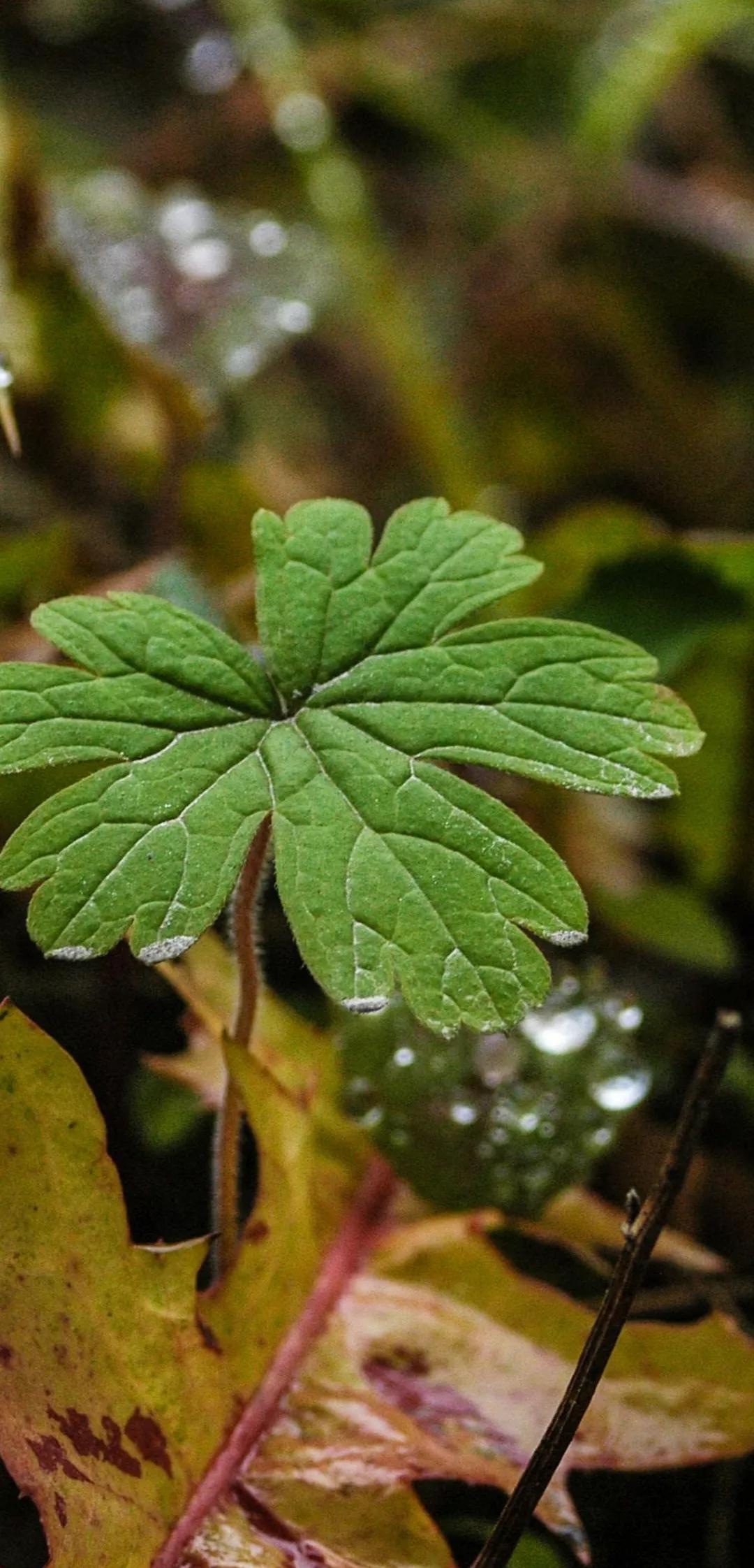 去学摄影花费2w到底值不值得,想学摄影不知道从哪里入手