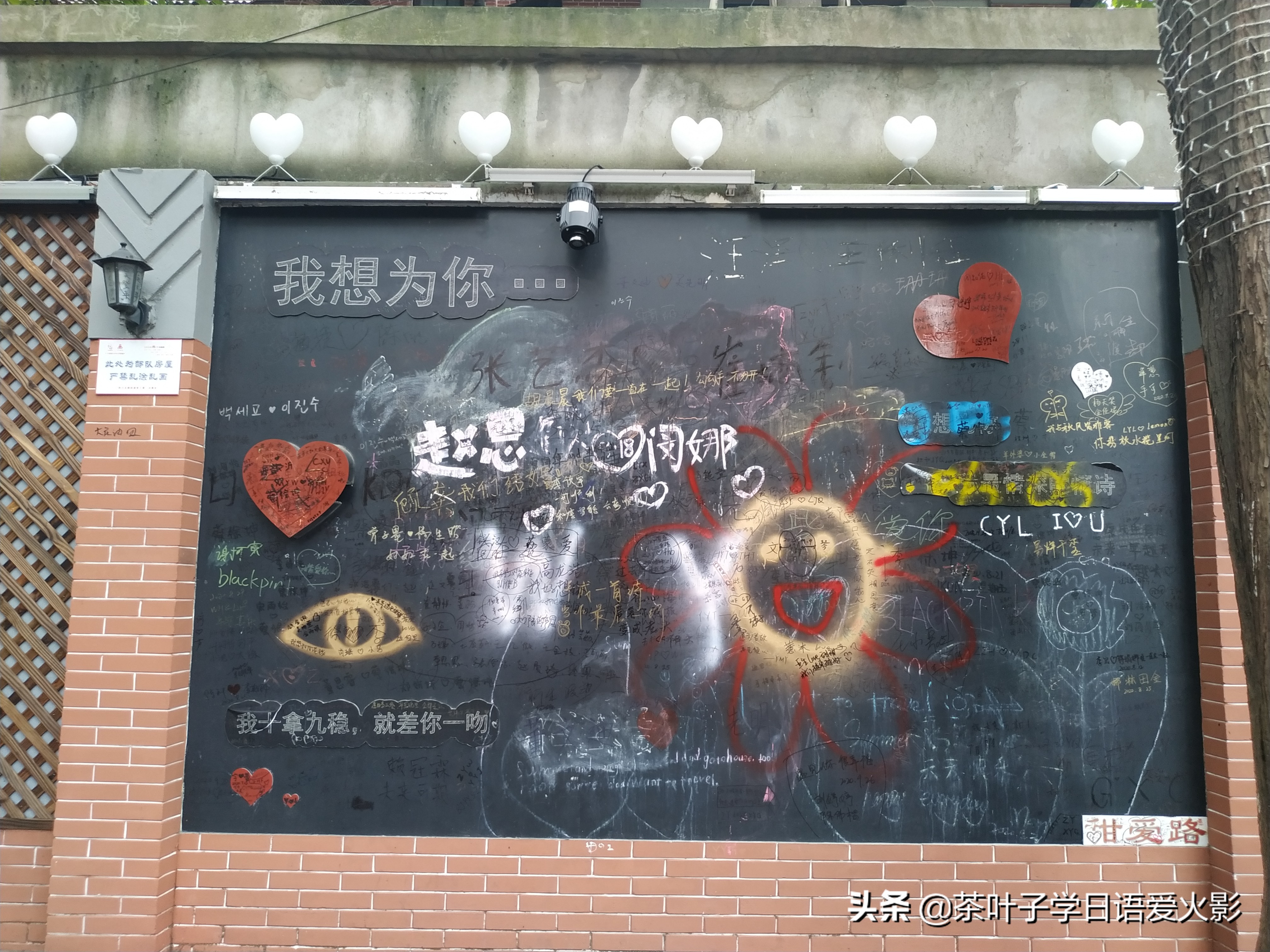 上海甜爱路，打卡不要错过哦，还有鲁迅公园