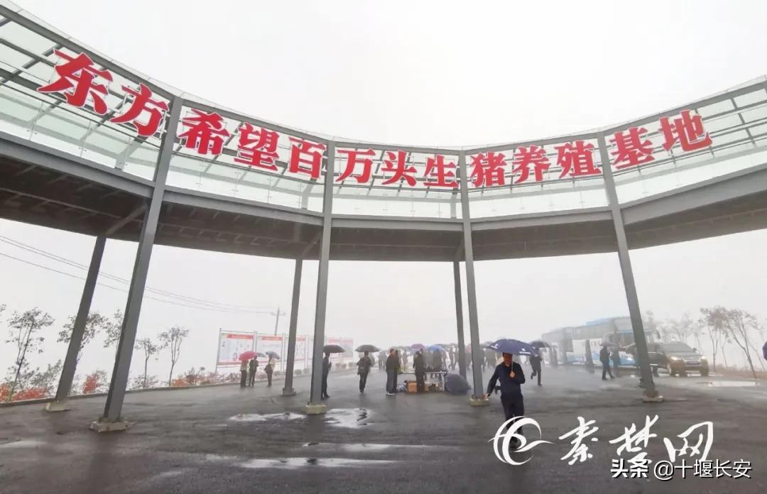 亚波书记带队奔赴十堰这些县市区，现场点评来了！