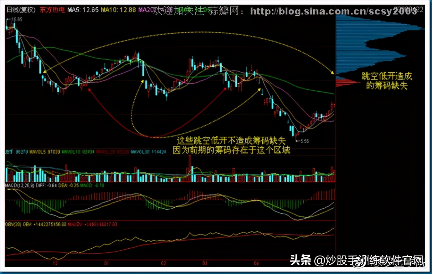 筹码分布图入门与技巧,筹码分布运用详解大全