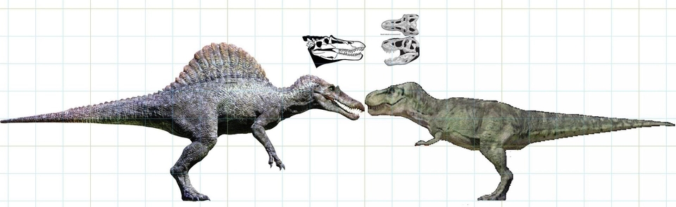 《侏罗纪公园3》棘龙打败霸王龙:主角光环实力碾压?