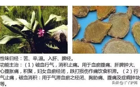 农村身边的中草药主治与功效,中草药全图谱与功效