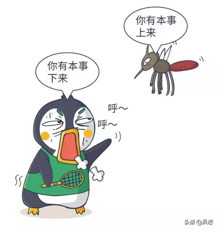 关于蚊子的知识介绍笔记,关于蚊子的知识幼儿园