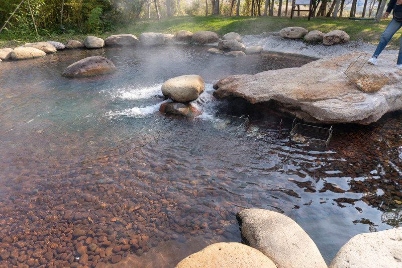 森林麋鹿公园,森林麋鹿