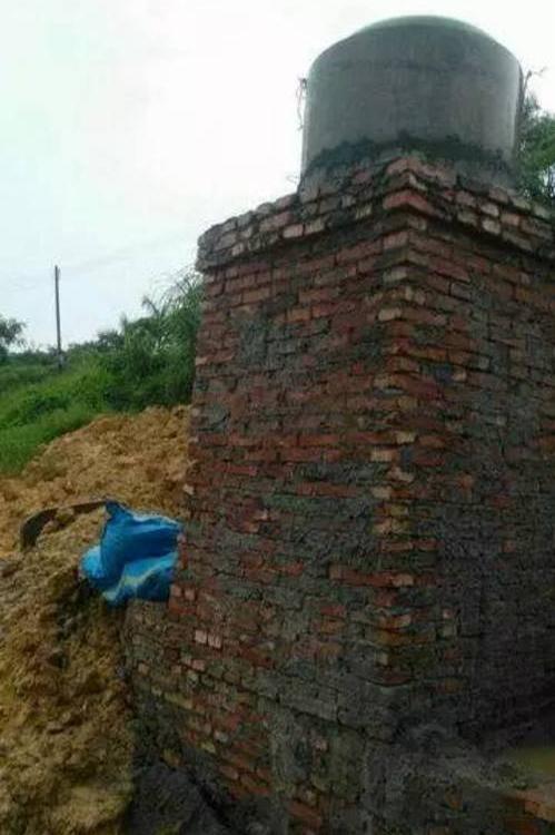 池塘水体净化,池塘净化鱼类