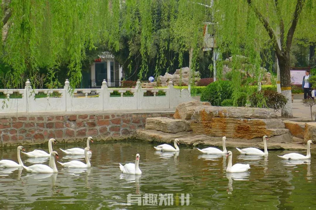 郑州市动物园开放,郑州市动物园什么时候去合适