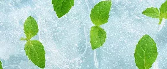 洗护套装薄荷女士,洗护套装推荐烫染去屑