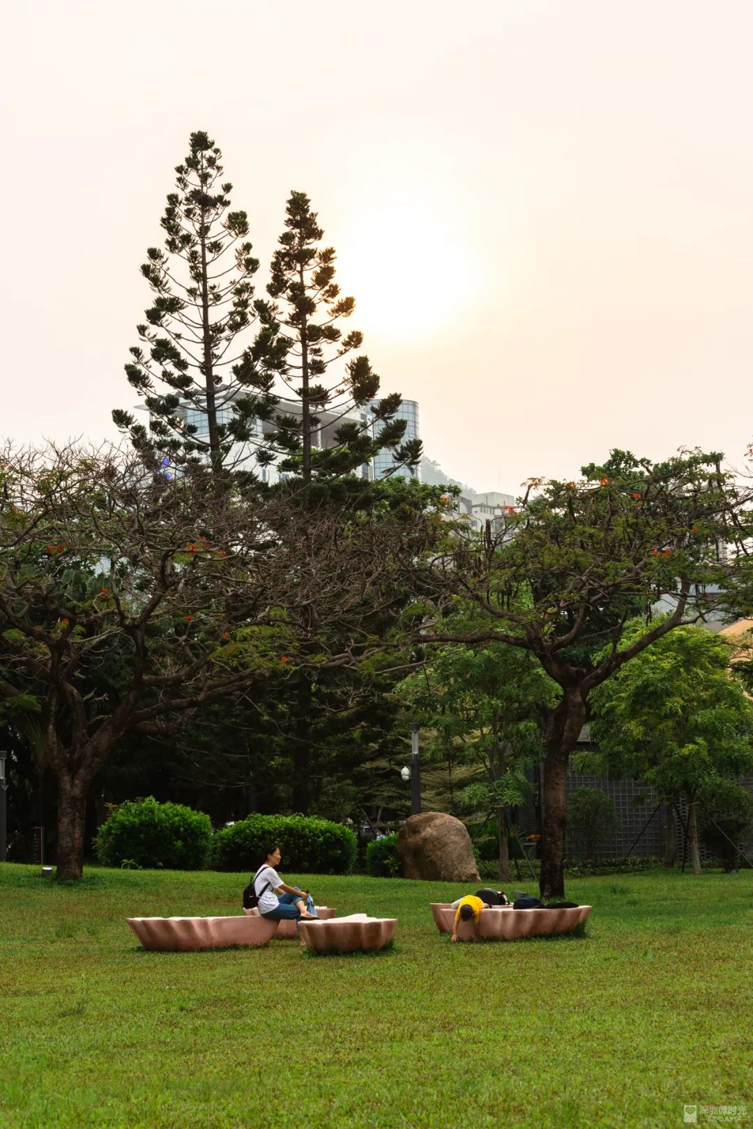 蛇口，一个住下来就不愿意再搬走的地方