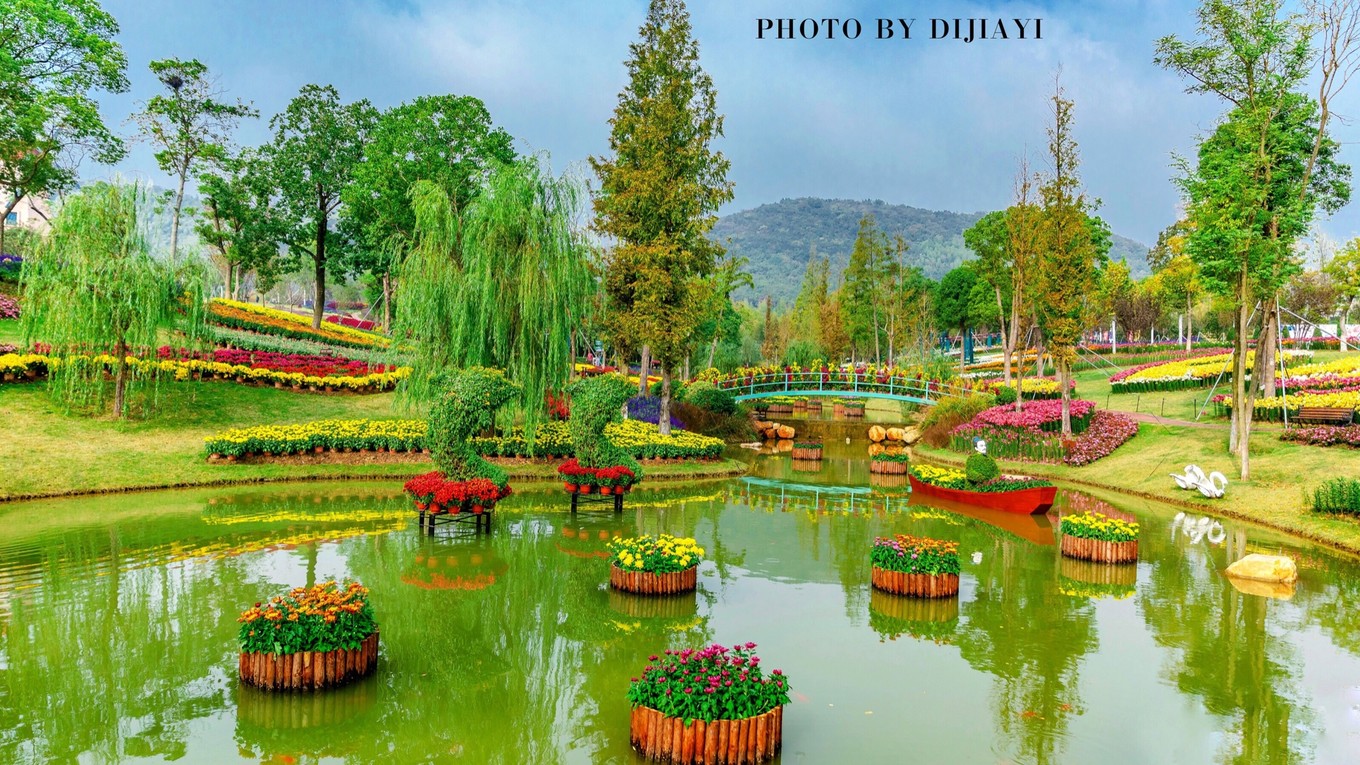 金坛花谷奇缘有什么地方值得打卡,金坛花谷奇缘赏花攻略