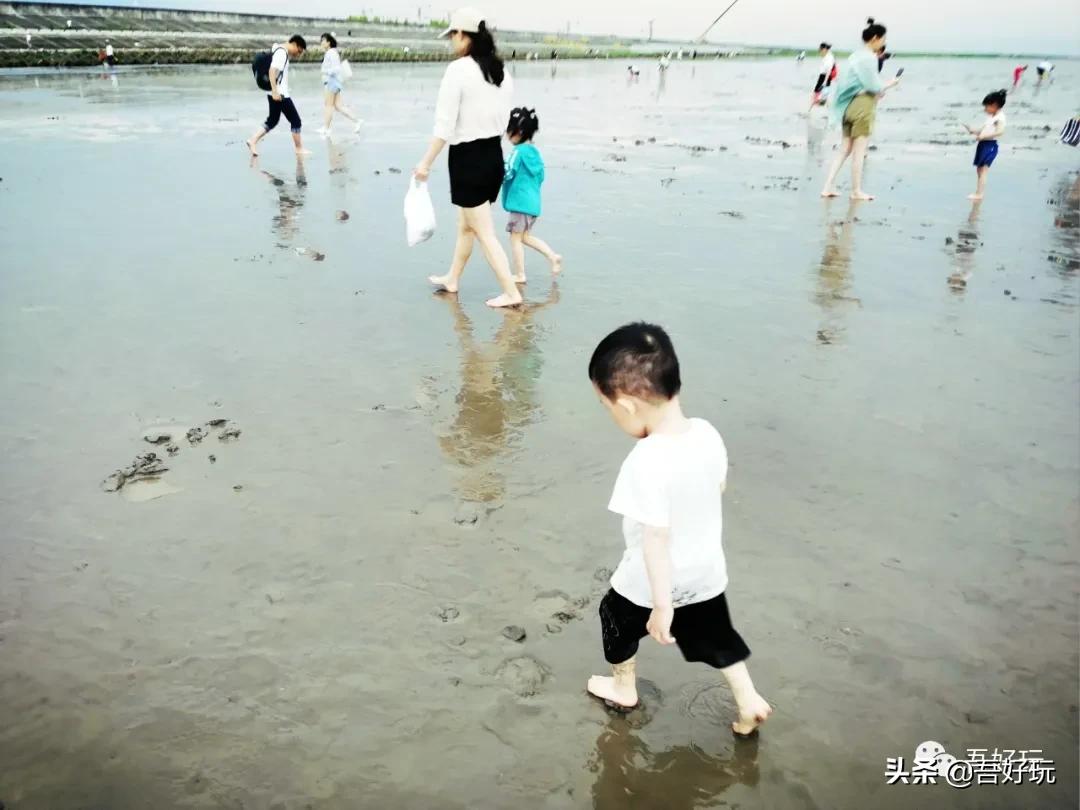 遛娃|南汇新城海滩，魔都夏日必打卡？