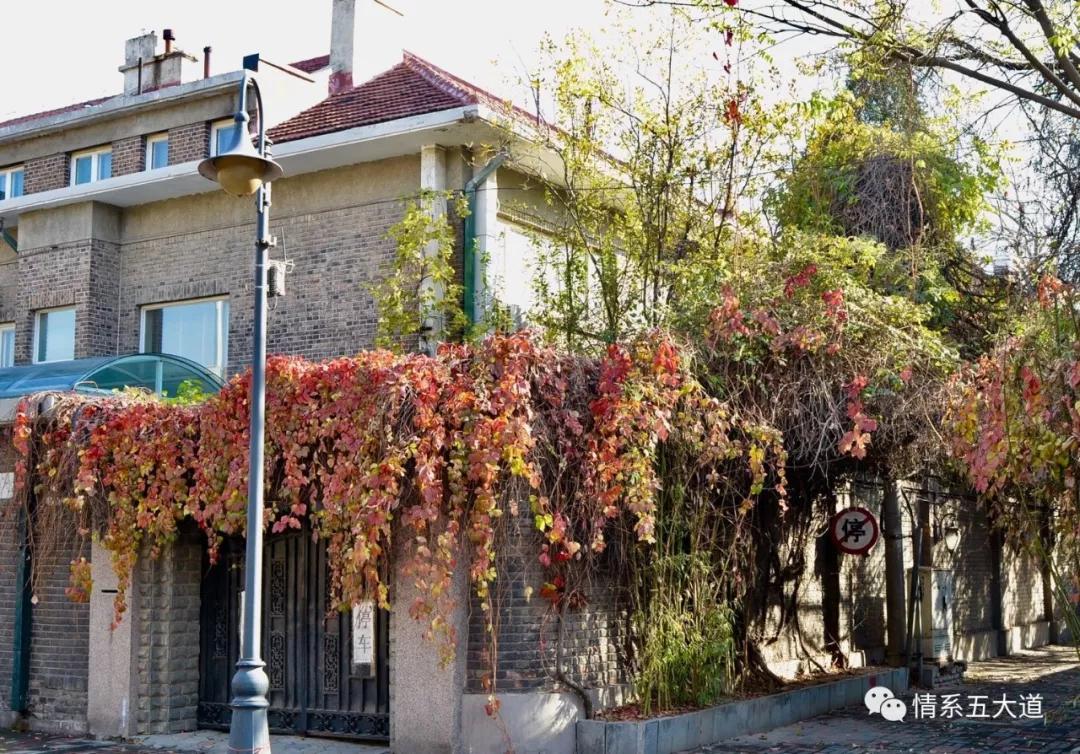 五大道：孕育天津现代医学的摇篮