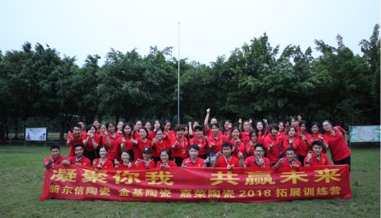 新东信瓷砖,新东信陶瓷