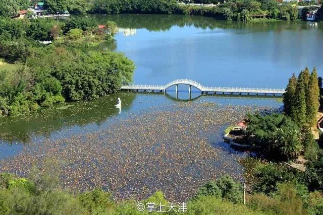 蓟州玩水垂钓农家院,蓟州区适合带孩子玩的农家院