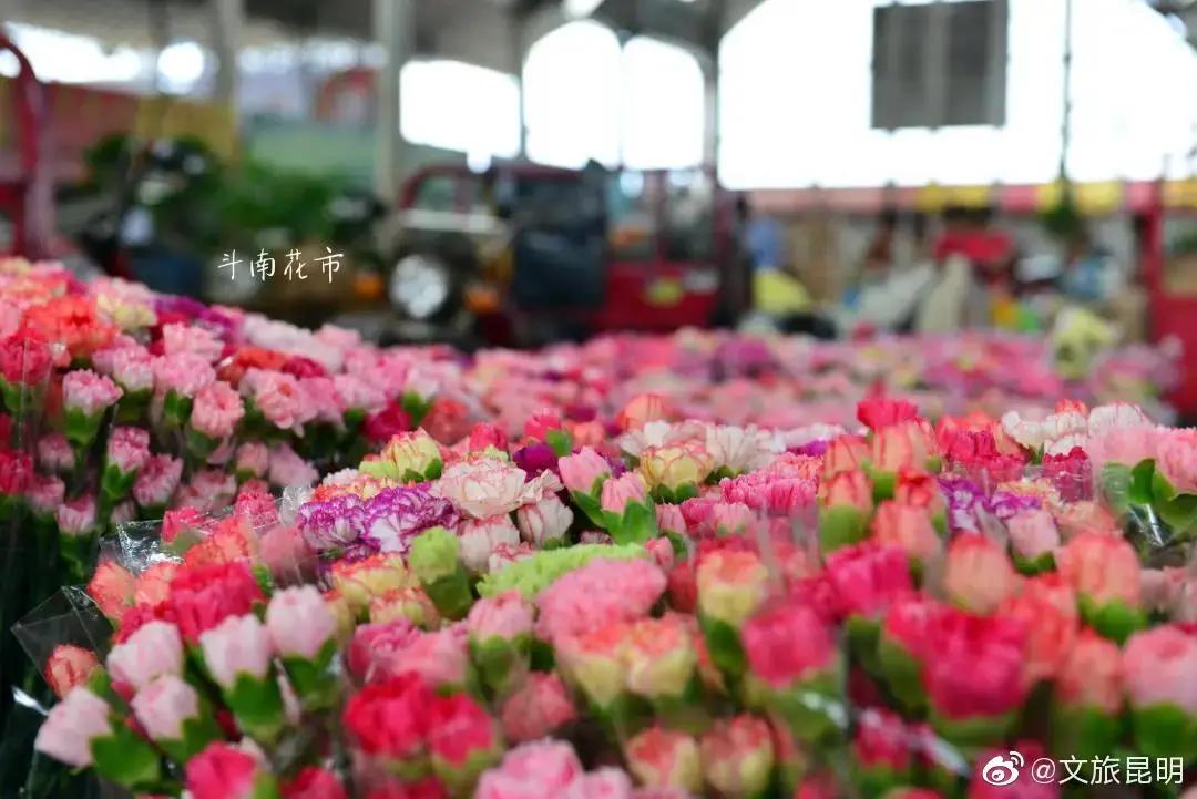 云南人注意啦!25种方法检验你有没有在昆明生活过,一看真灵!