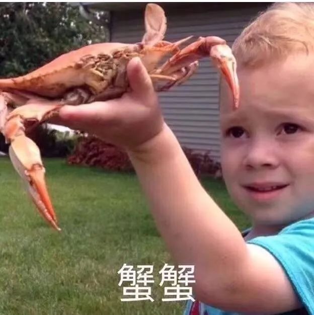 万万没想到,我从外国朋友那里收藏的神梗图,竟成为圈粉利器