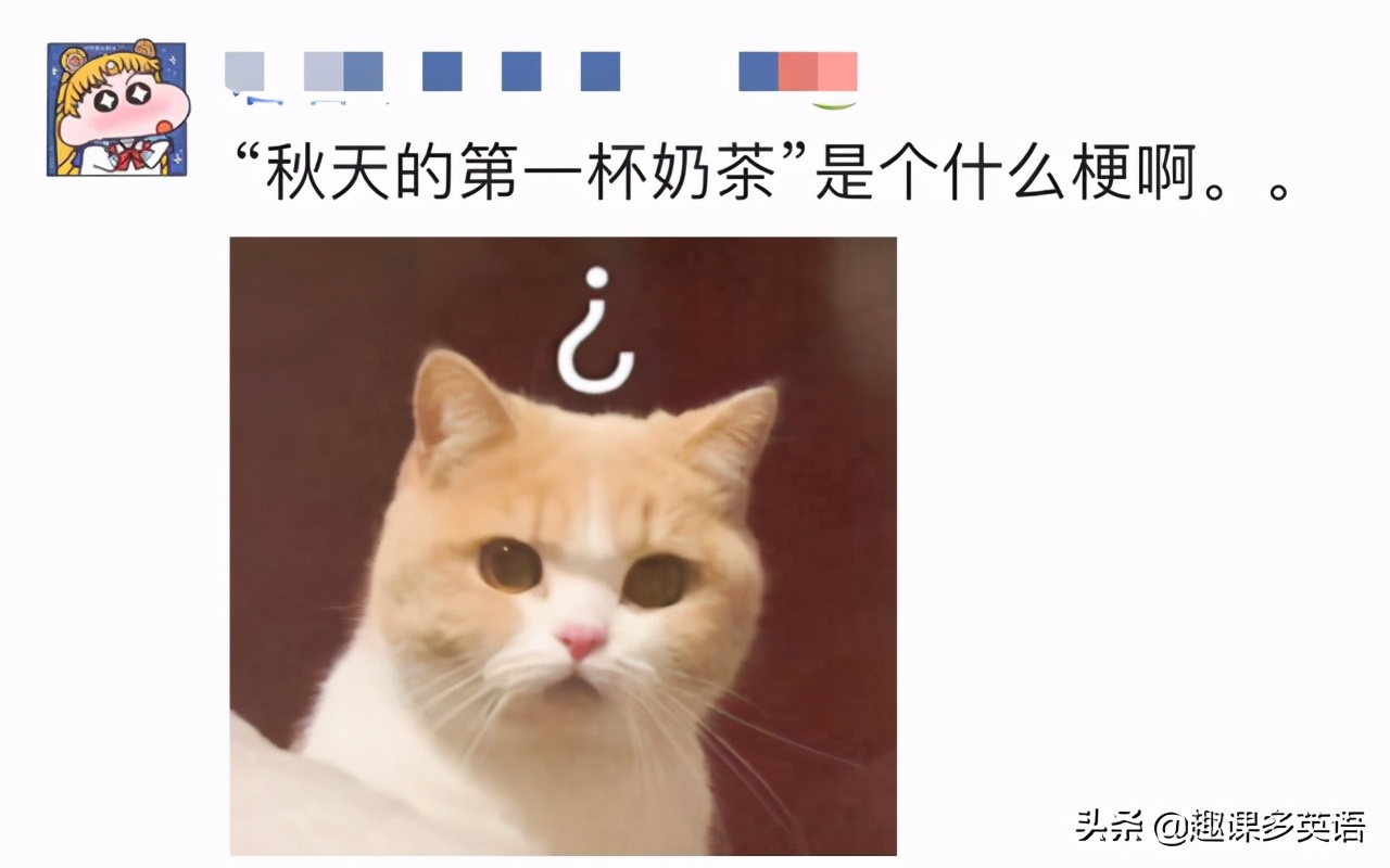 #秋天的第一杯奶茶#刷屏！英文不是milktea？