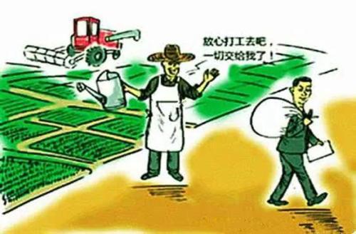 农业托管知识,托管农业是主流方向