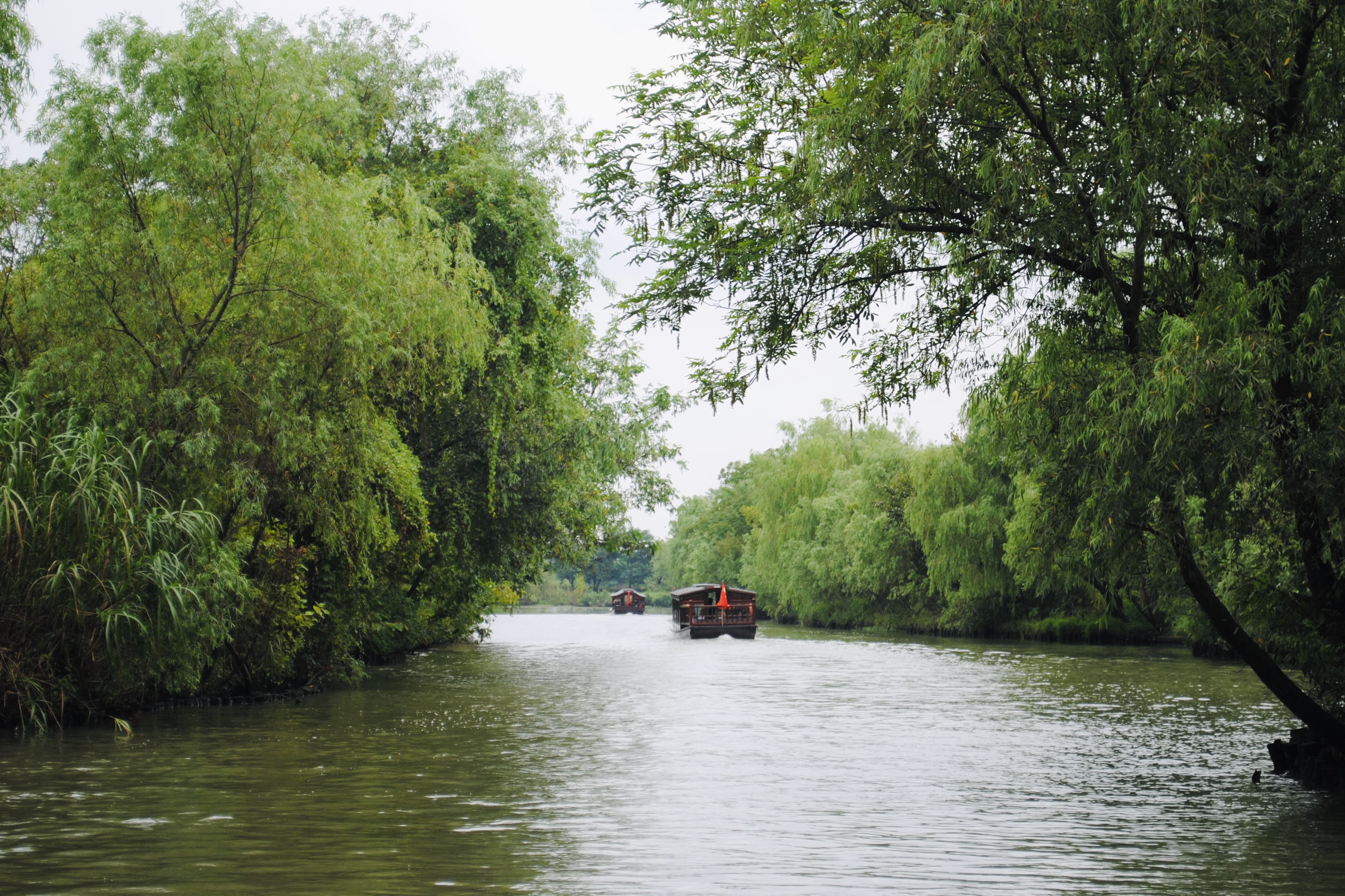 被誉为“杭州之肾”的西溪湿地值得去吗？网友：景色比西湖还美