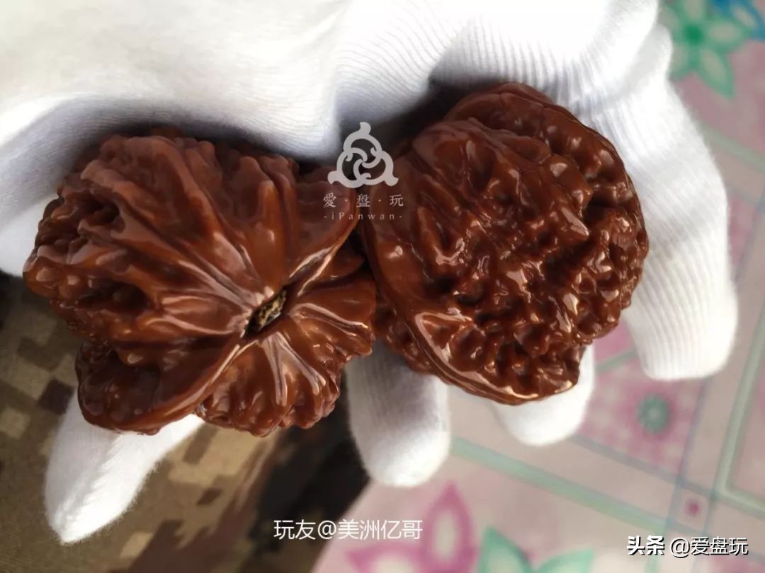 老树磨盘核桃包浆,百年老树核桃图片