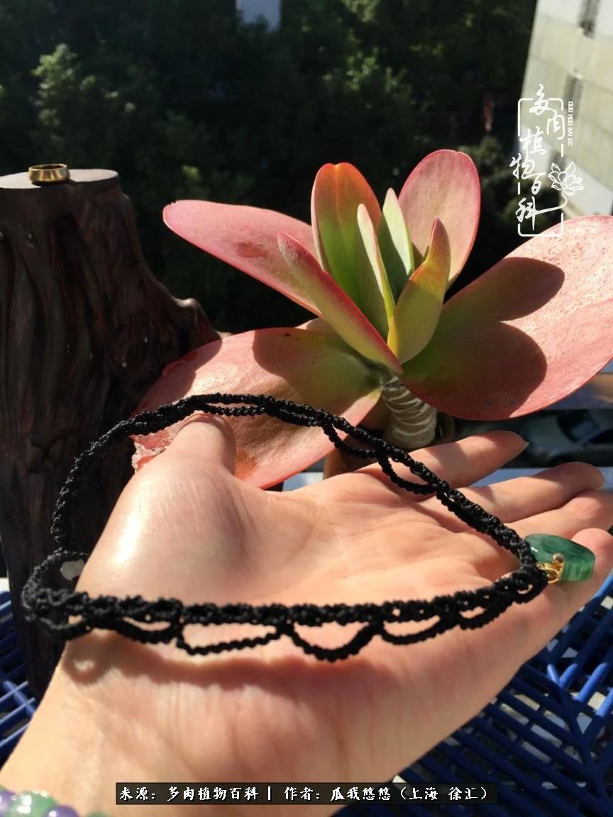 享受岁月,享受岁月静好歌曲原唱