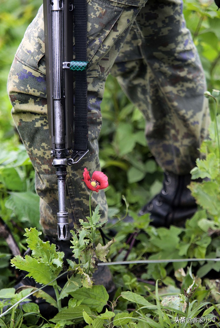 夺命毒枭VS慈善先生双面黑帮老大