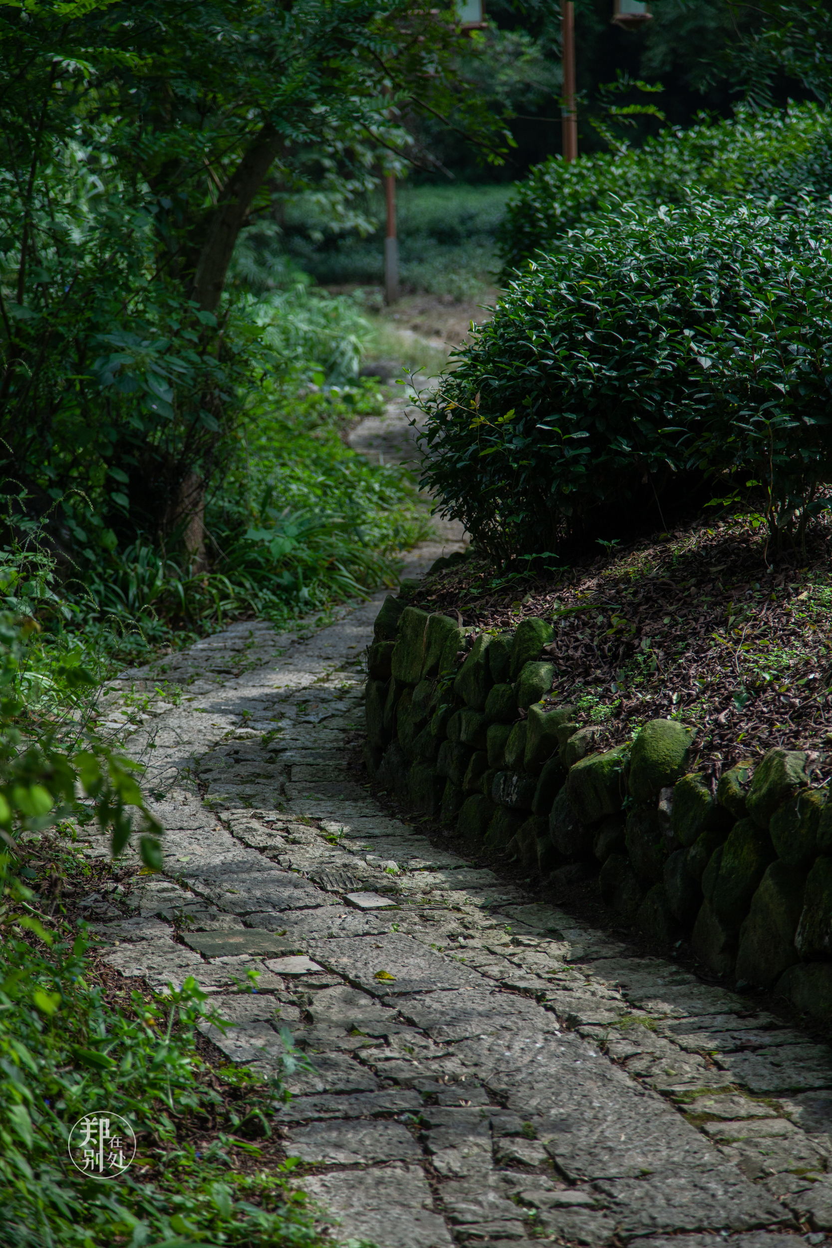 坐公交游杭州几路最好,杭州87路公交沿路风景