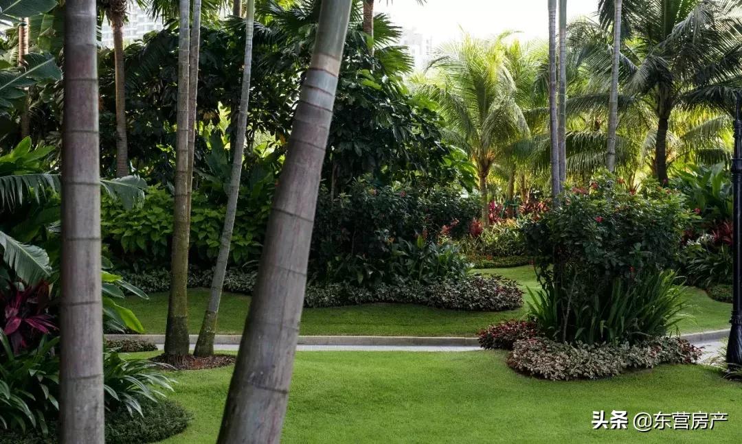 碧桂园森林城市与海花岛,碧桂园城市花园格局