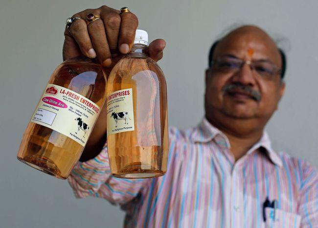 印度24条冷知识,印度冷知识100则