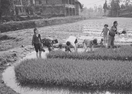 安溪人vs莆田人,为什么安溪人很拼