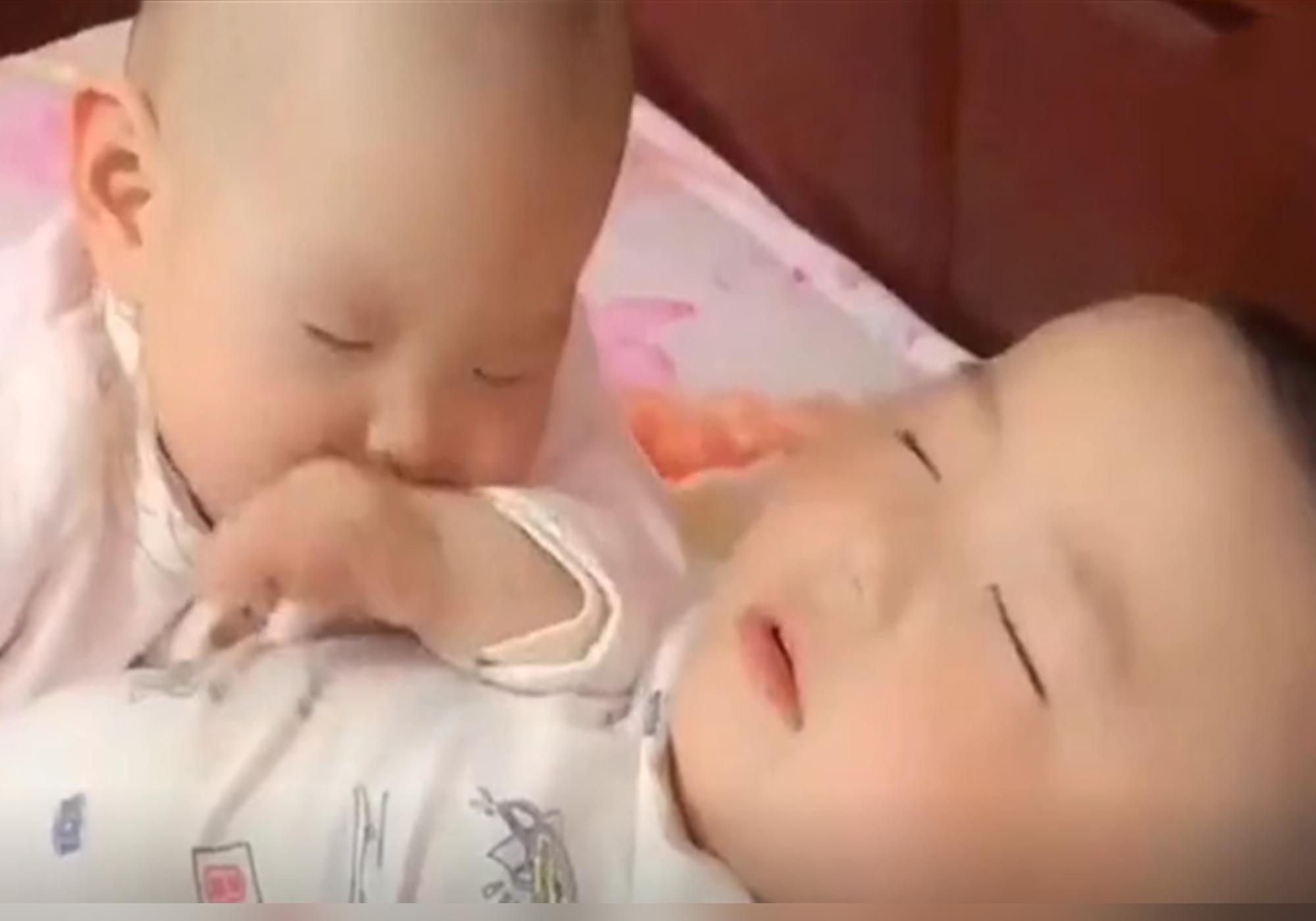 弟弟和哥哥的互动,哥哥和弟弟的温馨互动