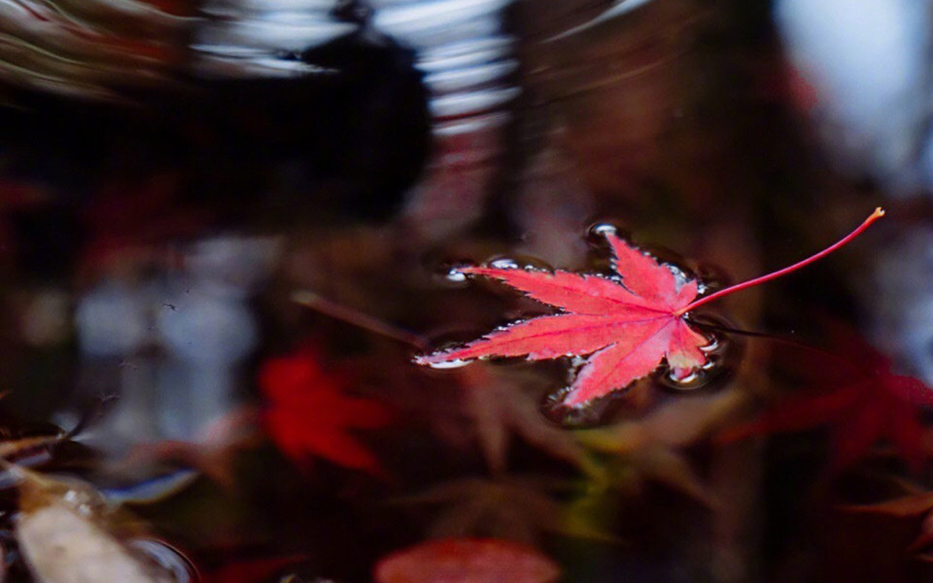 金牛座怎么跟对象解释金牛的缺点,金牛座跟金牛座怎么相处