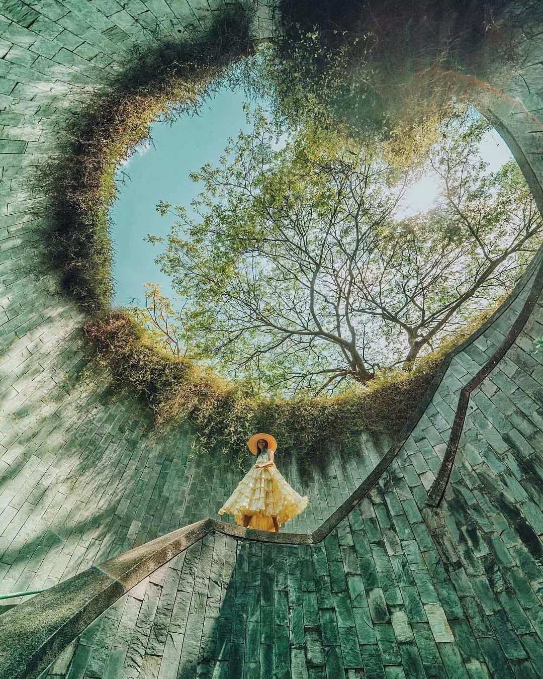 当景观遇上设计,当景观植物遇见灯光