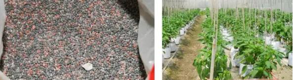 无土栽培技术视频免费,蔬菜无土栽培技术视频