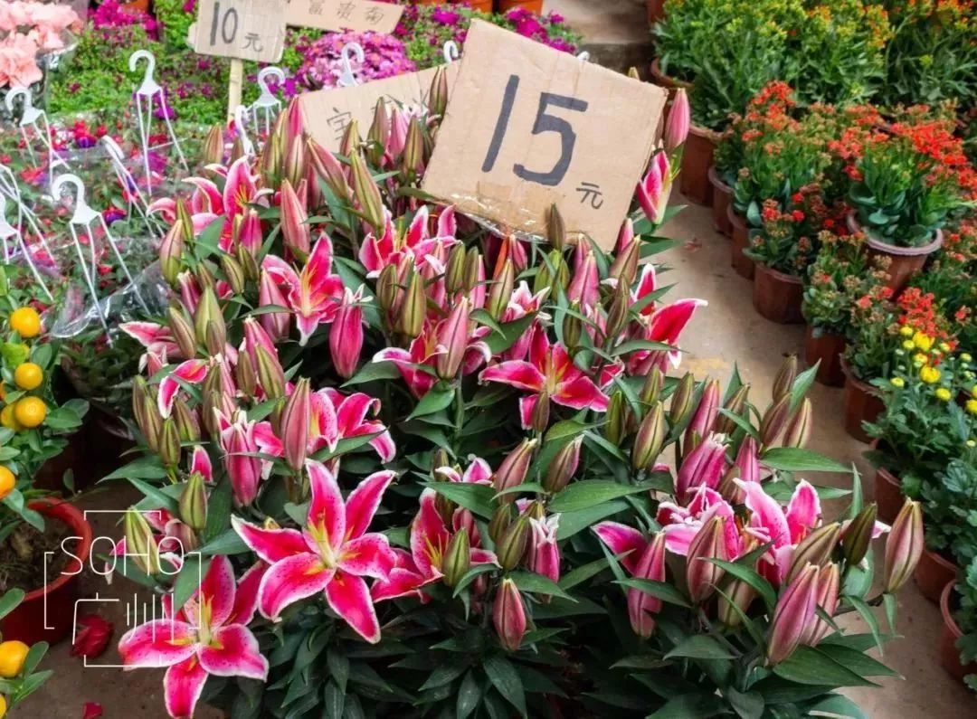 想当年，我在芳村区长大