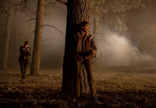 迪士尼AMC业绩飘红，影院和流媒体都有光明的未来？