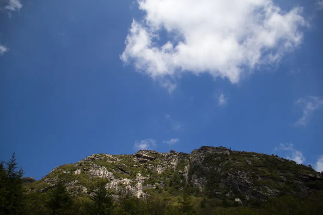 秦岭光头山至鹿角梁穿越路线,秦岭西观音山徒步登山路线攻略