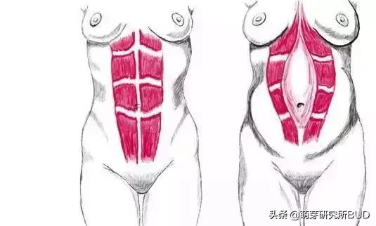 最强产后身材恢复指南，让妈妈们科学恢复好身材！