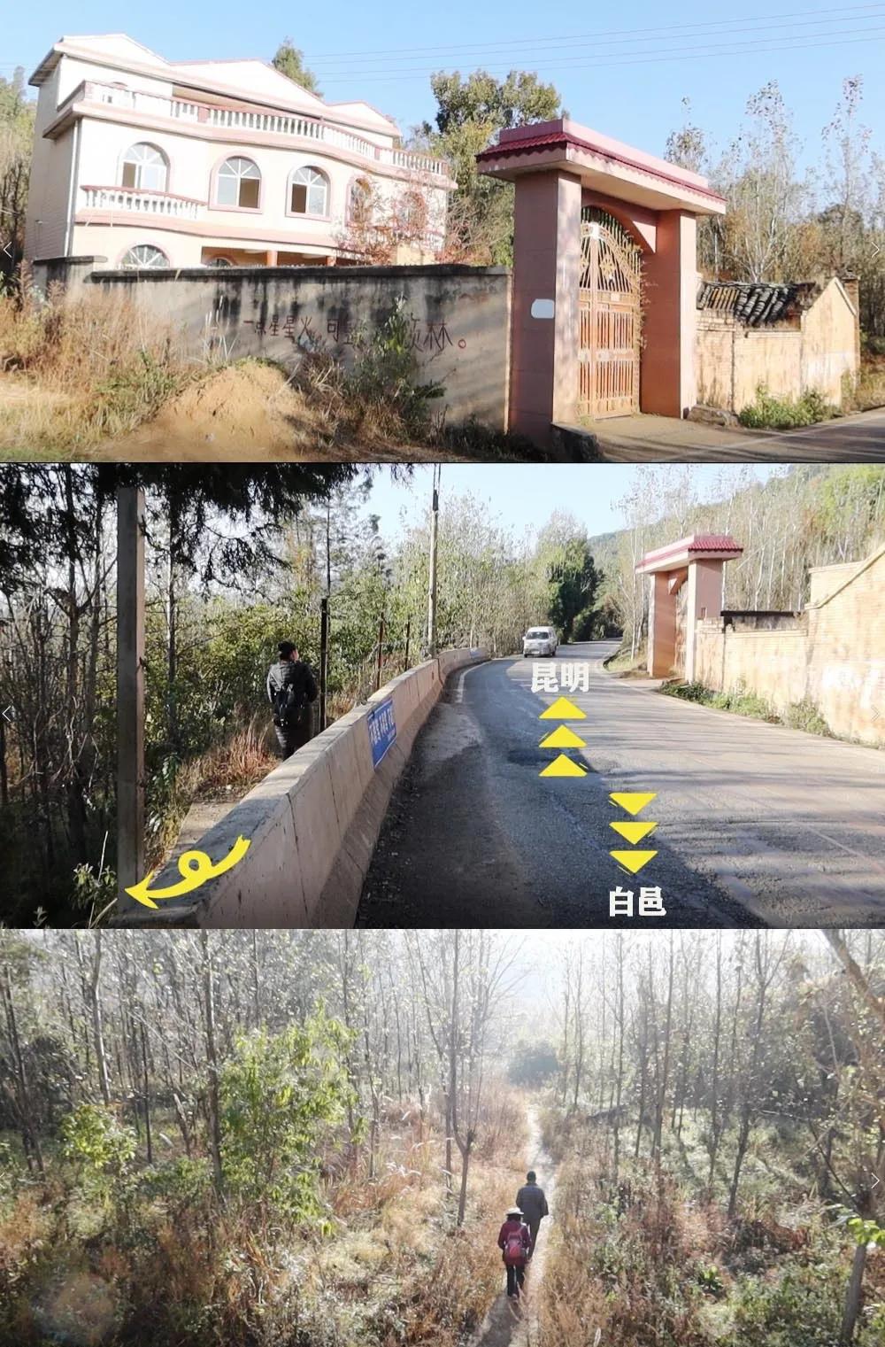 昆明甸尾村的水杉真的太美了,昆明甸尾水杉林网红打卡地