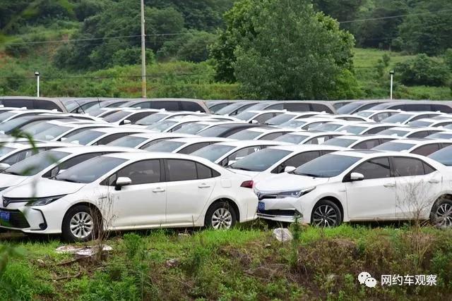 网约车混战滴滴被围剿,网约车扎堆怎么办