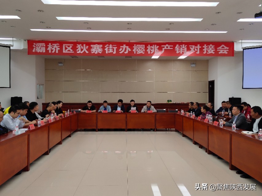 县政府助力樱桃销售,电商平台帮助果农销售樱桃