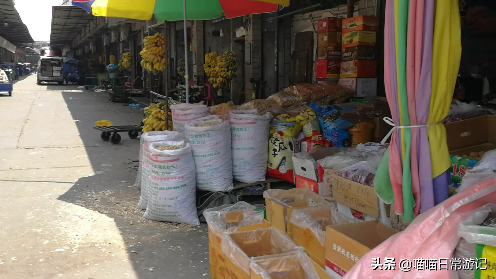 今年最佳水果批发市场在哪里,怎么找当地的水果批发市场