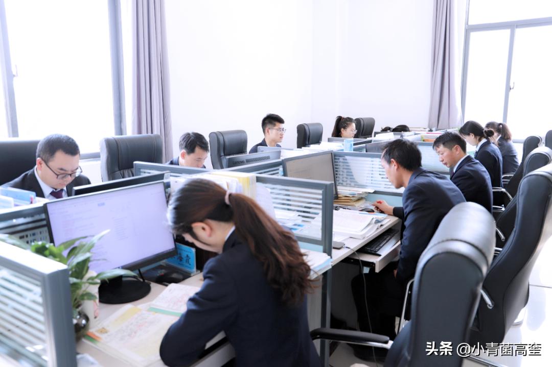 云南曲靖会泽县茚旺高中致远中学高一新生及补习班招生简章来啦