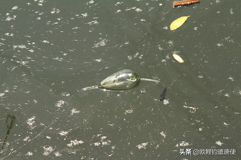 欧鲤钓组单柄鱼钩绑法,欧鲤钓组挂浮珠还是挂玉米