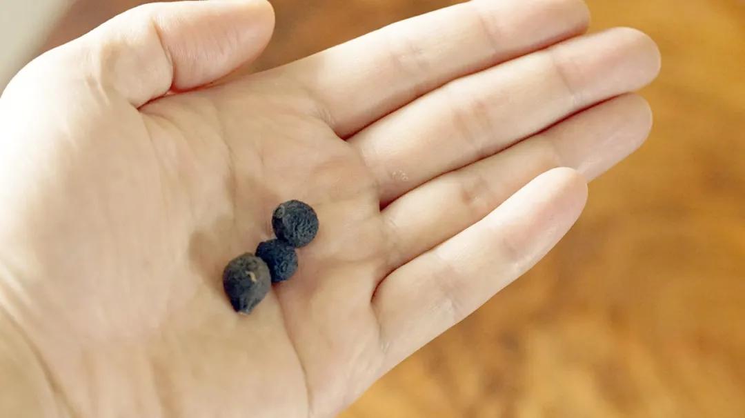 春天是病菌滋生最快的季节吗,春天是最适合疏通经络的季节