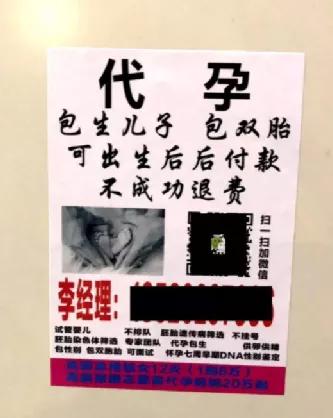 郑爽陷“代孕弃养”风波遭痛批!“借腹生子”的买卖,远比你想象得更可怕